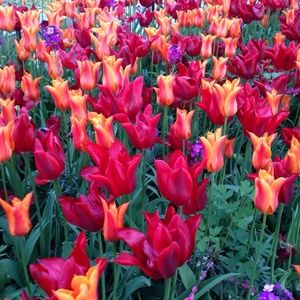 Meet your Posher, Kaye